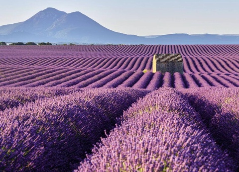 Camping Verdon Parc 4* - 17