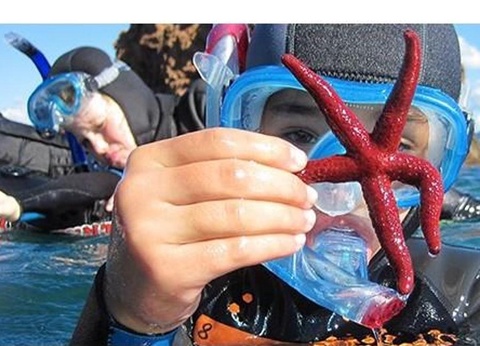 Camping de Vaudois, 3* - 26