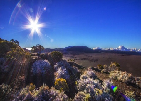 Circuit Découverte Métis - 3