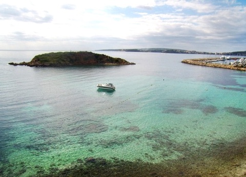 Hôtel Club Jumbo Globales Montemar 3* - 6