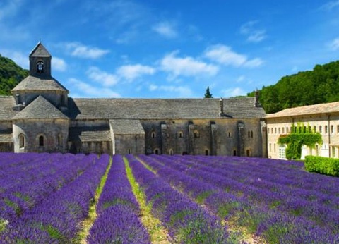 Camping Les Routes de Provence - Ciela Village, 3* - 47