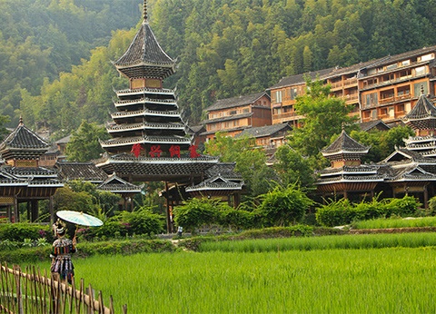 Circuit Panorama de Chine et montagnes d'Avatar *** - 16