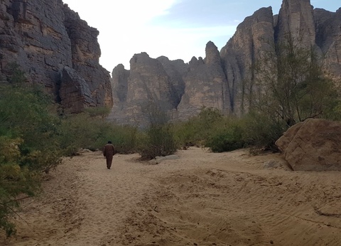 Circuit Le Tassii N'Ajjer et l'infinie beauté du Sahara - 5