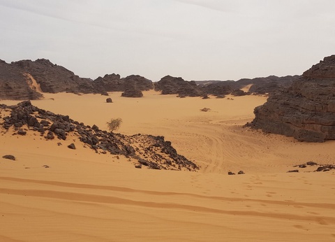 Circuit Le Tassii N'Ajjer et l'infinie beauté du Sahara - 7