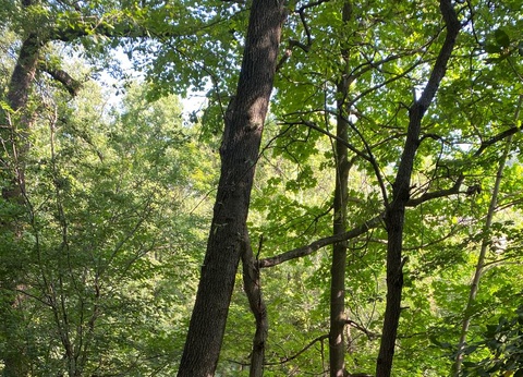 Camping des Sources, 3* - 13