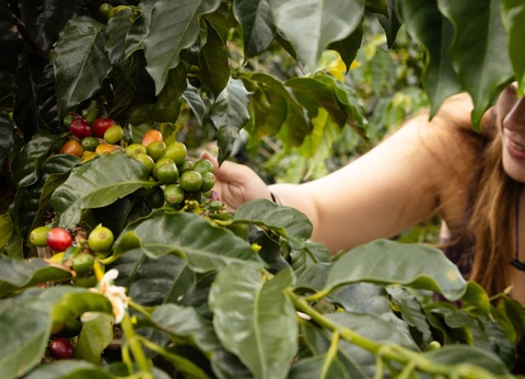 Au fil du canal - 10