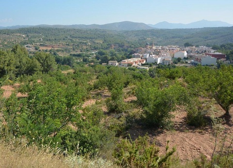 Camping Altomira, 4* - 15