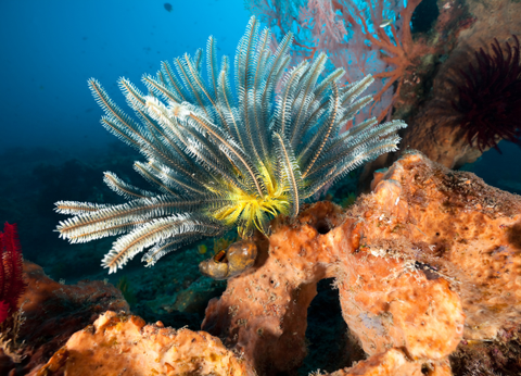 Circuit Panorama Balinais Charme et Privatif - 7