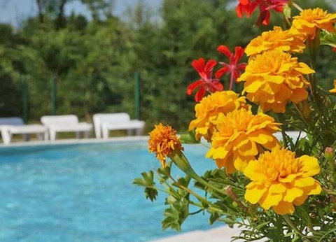 Flower Camping les 3 Ours, 3* - 15