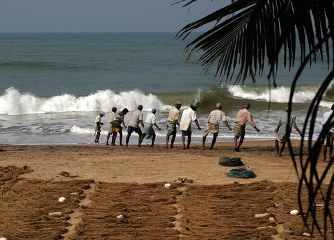 Circuit Au pays de l'or vert - 17