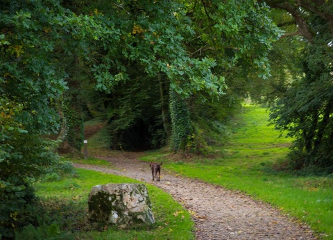 Camping de Kerisole 3* - 17