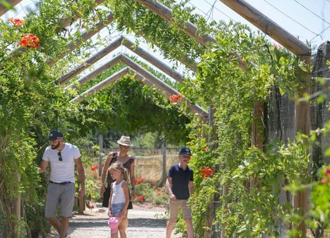 Camping DéfiPlanet', 4* - 17