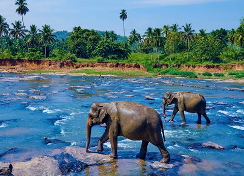 Circuit privé Ceylan colonial - 10