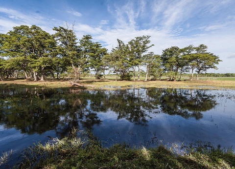 Circuit Secrets du Sri Lanka en petit groupe : culture, plages sauvages et safari 4* - 9