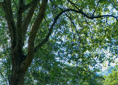 Camping la Vallée de Poupet, 3* - 19