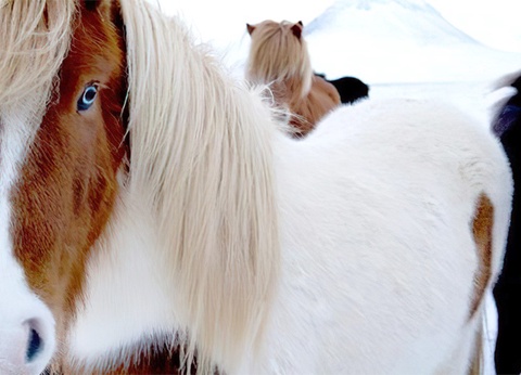 City Break 4 nuits - A la recherche des aurores boréales - 11