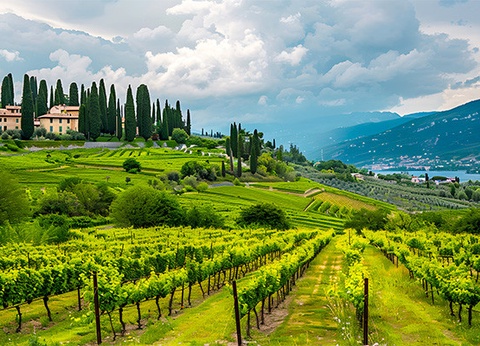 Autotour Balade sur les routes des lacs italiens, arrivée Vérone **** - 2