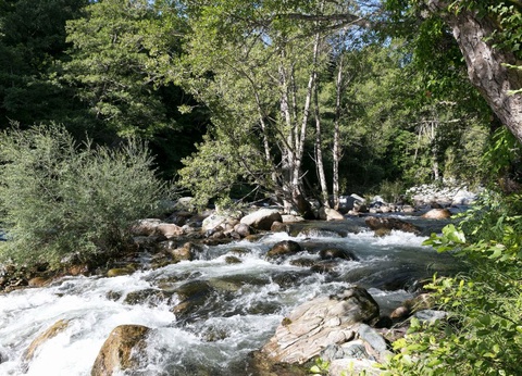 Hôtel - Restaurant & Spa E Caselle 4* - 16