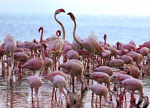 Circuit L'essentiel du Kenya en 4 x 4 - 9