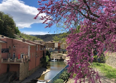 Camping La Bernede, 3* - 11