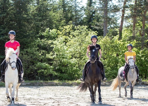 Camping Le Pinada, 3* - 44