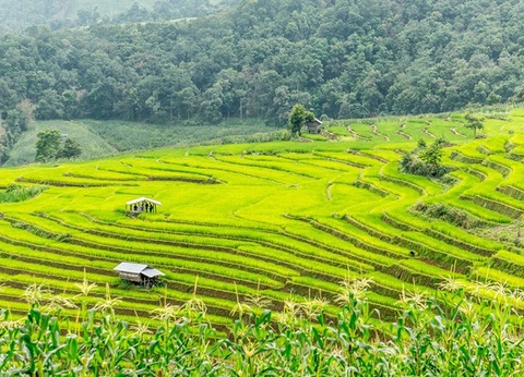 Circuit Thaïlande Insolite, Rencontre avec les Tribus du Nord - 4