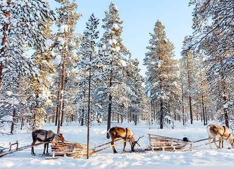 Hôtel Levi Spa (activités incluses) - 9