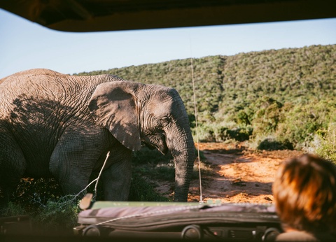 Circuit Éclats de l'Afrique australe **** - 13