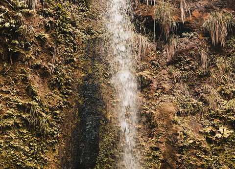 Croisière Dream Guadeloupe - 9