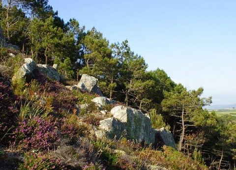 Camping Sites et Paysages - Le Panoramic 4* - 34