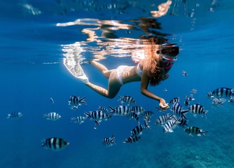 Talaia Plaza Ecoresort - 72