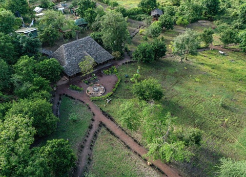 Safari Privatif - Aventure Tanzanienne - 19