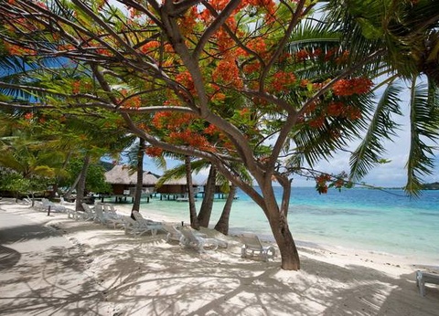 Carpe Diem en Polynésie - 20