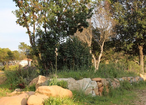 Camping Casa Di Luna - 14