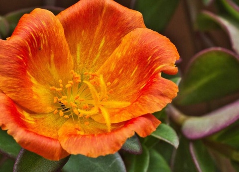 Road Trip Le Costa Rica en famille - 6