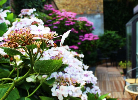 Spécial city trip : profitez d'un week-end romantique à Bruges (à partir de 2 nuits) - 2* - 4