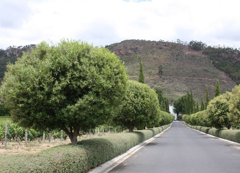 Circuit Sur la piste des Zoulous et extension Victoria Falls - 11