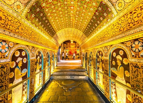 Combiné circuit et hôtel Club Jumbo Amethyst 4* - 6