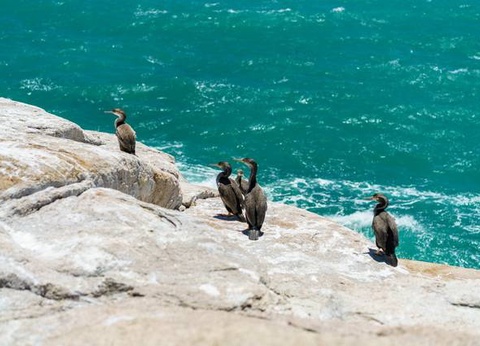 Circuit Fjords et Maoris - 20