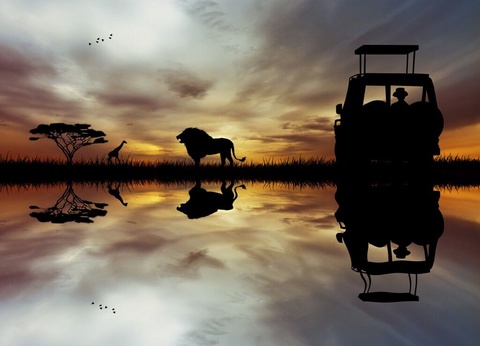 I Love Afrique du Sud & Chutes Victoria - 16J/13N - Du 10/01 au 21/03/26 - 7