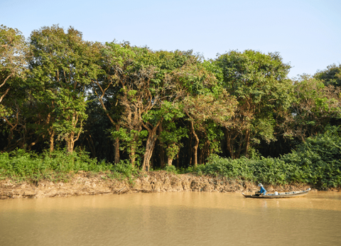 Circuit Lotus du Cambodge - 25