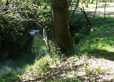 Domaine du Lac de Néguenou, 3* - 45