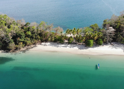 Circuit Panama, Couleur Café - 33