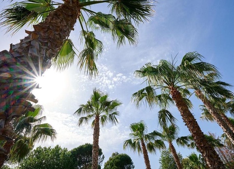 Camping Les Pêcheurs, 4* - 70