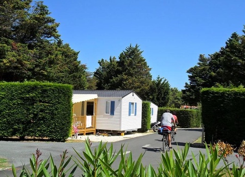 Camping Val de Loire en Ré, 4* - 15