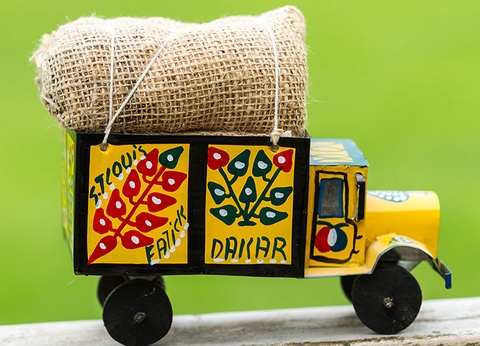 Le Sénégal, des dunes du Dakar au delta du Saloum - 14