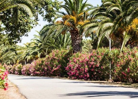 Camping Marina d'Erba Rossa, 4* - 46