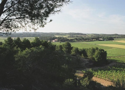 Camping Résidentiel La Pinède, 4* - 15