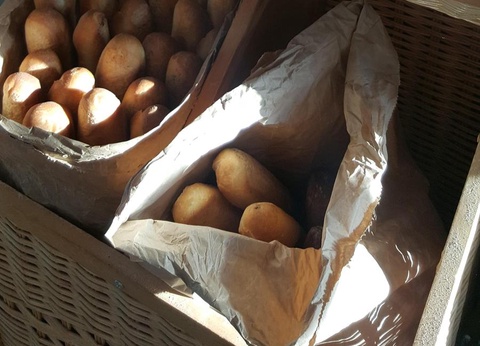 Camping Eleovic 4* - 26