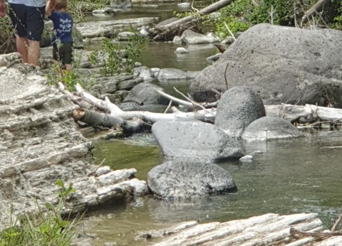 Camping Les Lavandes, 3* - 37